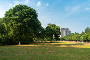 Fototapeta premium spring park and modern city