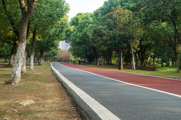 New pathway and beautiful trees track for running or walking and cycling relax in the park