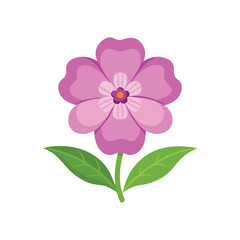 Phlox flower isolated flat vector illustration on white background.