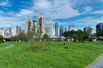 Obraz premium city park with modern building background in shanghai