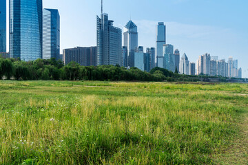 Obraz premium flower field in park at city center and modern city