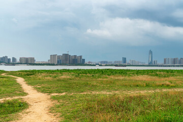 flower field in park at city center and modern city