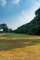 Beautiful panorama of green city park