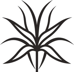 A Spider Plant silhouette vector art illustration. Bromeliad, Art, Beauty, Beauty In Nature.