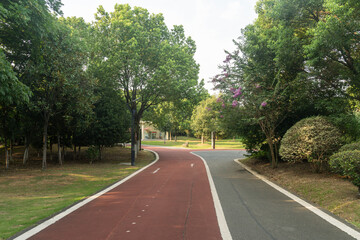 New pathway and beautiful trees track for running or walking and cycling relax in the park