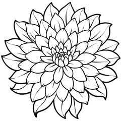 November-birth-flower