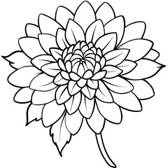 November-birth-flower