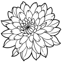 November-birth-flower