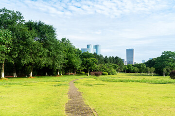 Fototapeta premium Beautiful panorama of green city park