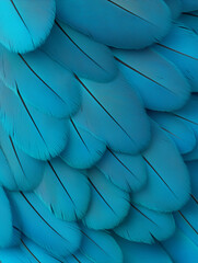 Obraz premium Close-Up of Vibrant Blue Bird Feathers