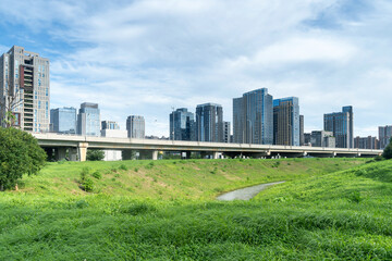 Obraz premium flower field in park at city center and modern city