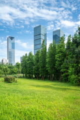 Fototapeta premium city park with modern building background in shanghai