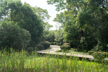 boardwalk in the City Park