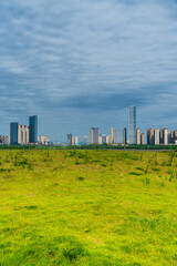 Obraz premium flower field in park at city center and modern city