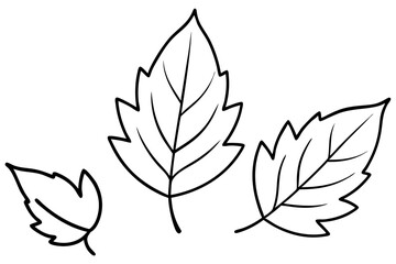 Colorful Autumn Leaves Vector Collection for Nature Inspired Designs
