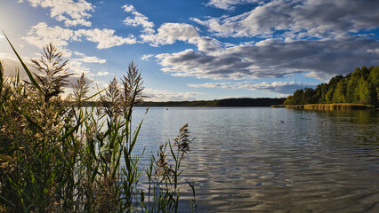 See - Wasser - Landschaft - Wolken - Sommer - Umwelt - Brandenburg - Germany - Rangsdorf 