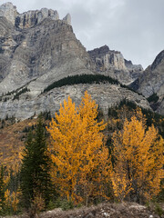 Autumn in the mountains of the Canadian Rockies. Icefields Parkway, Canada. 