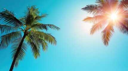 A tropical palm tree silhouette set against bright sunlight, evoking feelings of relaxation and paradise..