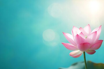 Pink lotus flower on serene water background