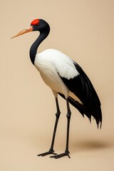 Obraz premium A striking crane with a vibrant red crown stands gracefully against a soft beige background, showcasing its elegant features and delicate plumage.