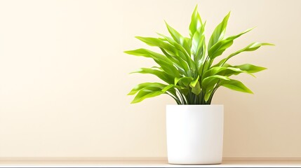 Fototapeta premium A vibrant green plant in a white pot against a soft beige wall, adding a fresh and modern touch to the interior space.