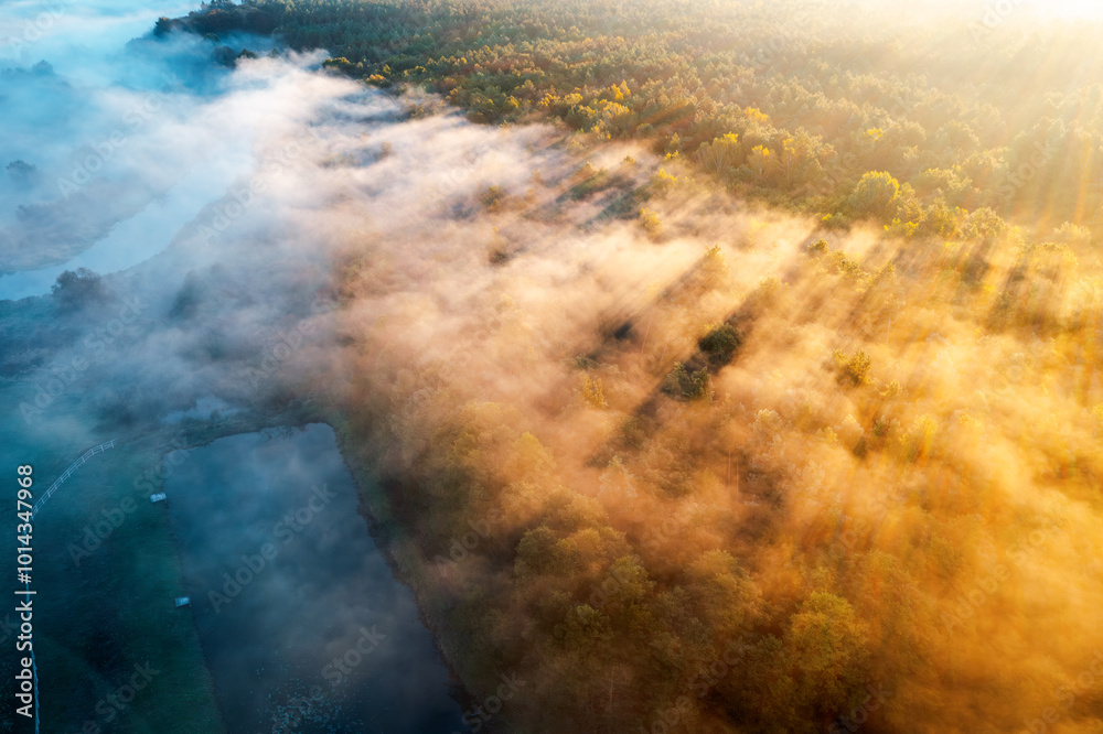 Aufkleber splendid view of the treetops with rays of morning light breaking through the mist.