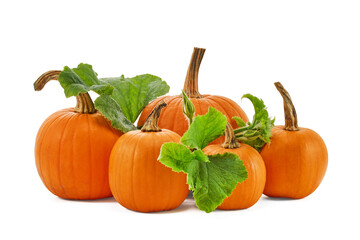 Pumpkins with stems on a white background, showcasing autumn harvest atmosphere.