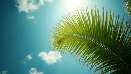 Lush Green Palm Fronds Against a Bright Blue Sky with Sunlight Streaming Through