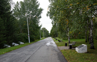 Rural road in the forest. Summer landscape with a road and trees  in the Victory Park of the city of Omsk in summer