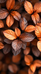 Fototapeta premium Brown plant leaves in autumn season, brown background