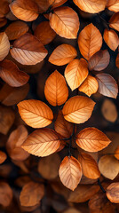 Brown plant leaves in autumn season, brown background