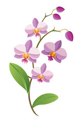 Obraz premium Orchid Branch With Flowers Vector Illustration On White Background