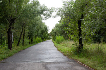 Obraz premium View of a small river with trees in the background and cloudy sky in the Victory Park of the city of Omsk in summer