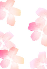 桜　和柄　年賀状　背景