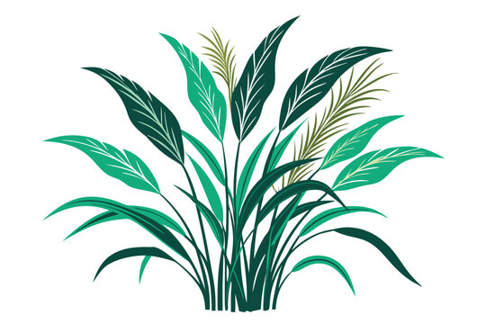 green leaves plant on white background clip art preview