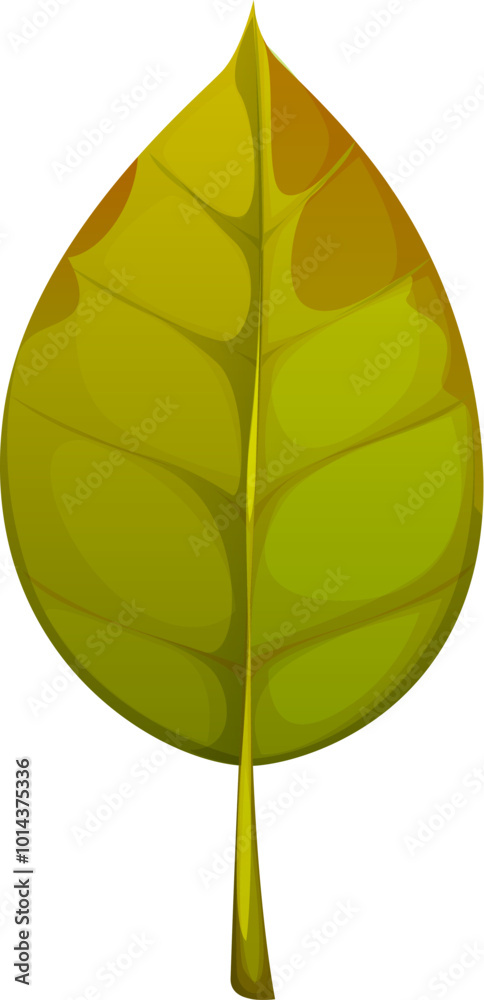 Poster cartoon autumn green leaf with subtle brownish autumnal shades at the edges and smooth, symmetrical 