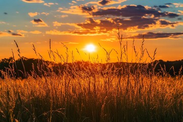 Fototapeta premium Sunset over tall grass with a brilliant orange and yellow sky, casting long shadows.