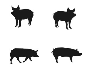 Quality black and white vector silhouettes of pigs. Vector black illustration on white. pig silhouette vector, Animal in black and white. Silhouette of a pig isolated on a white background.
