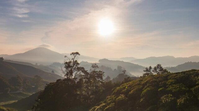 beautiful sunrise at the tea plantation cameron highlands, malaysia