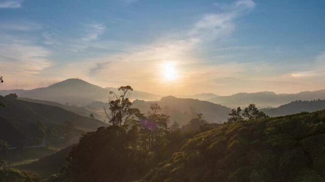 beautiful sunrise at the tea plantation cameron highlands, malaysia