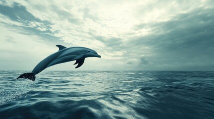 A dolphin leaping through the surface, with a vast ocean backdrop for copy.