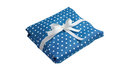 Obraz premium Blue Polka Dot Gift Wrapped Present