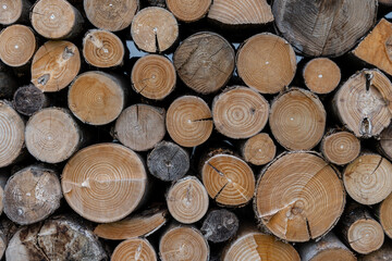 stack of firewood