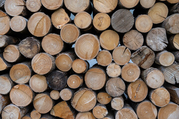 stack of firewood