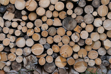 stack of firewood
