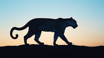 A silhouette of a leopard walking against a colorful sunset backdrop.