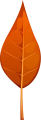 Cartoon autumn leaf with a vibrant orange color, smooth and symmetrical shape, prominent veins and a slender stem, capturing the essence of fall season. Isolated vector tree or plant foliage