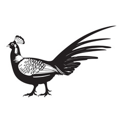 Obraz premium pheasant bird vector art illustration