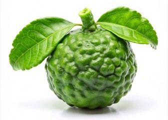 Fototapeta premium Kaffir lime, a vibrant herb, elevates culinary creations while providing health benefits, making it perfect for raw