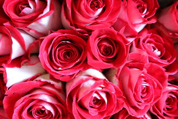 bouquet of red roses